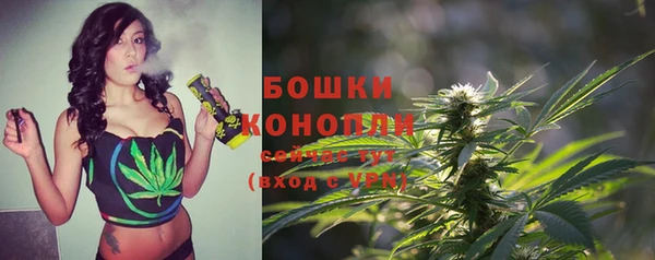 ECSTASY Рославль