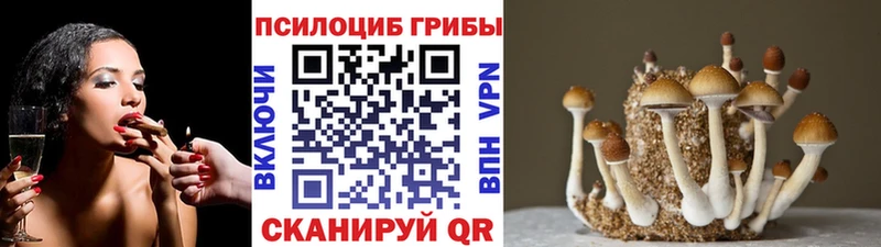 Галлюциногенные грибы прущие грибы дарнет шоп Вилюйск